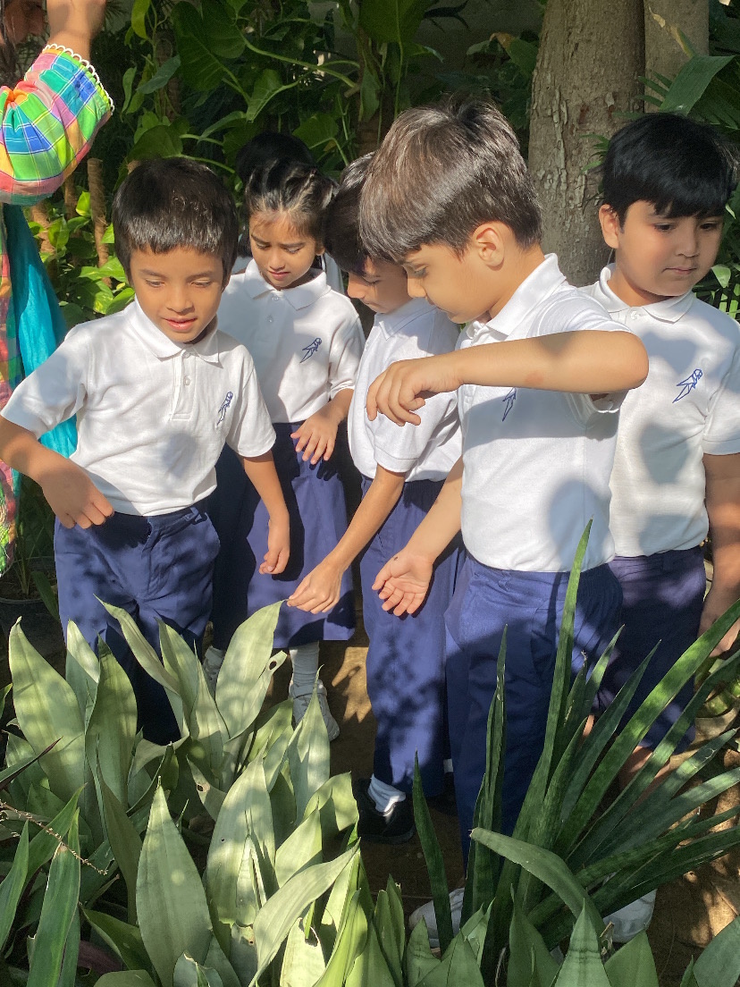 Prodigy HIGH nature-based learning