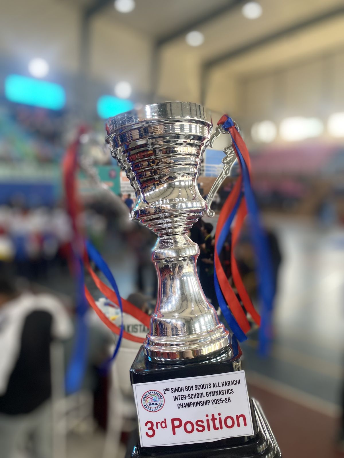 Prodigy HIGH inter-school gymnastics achievement